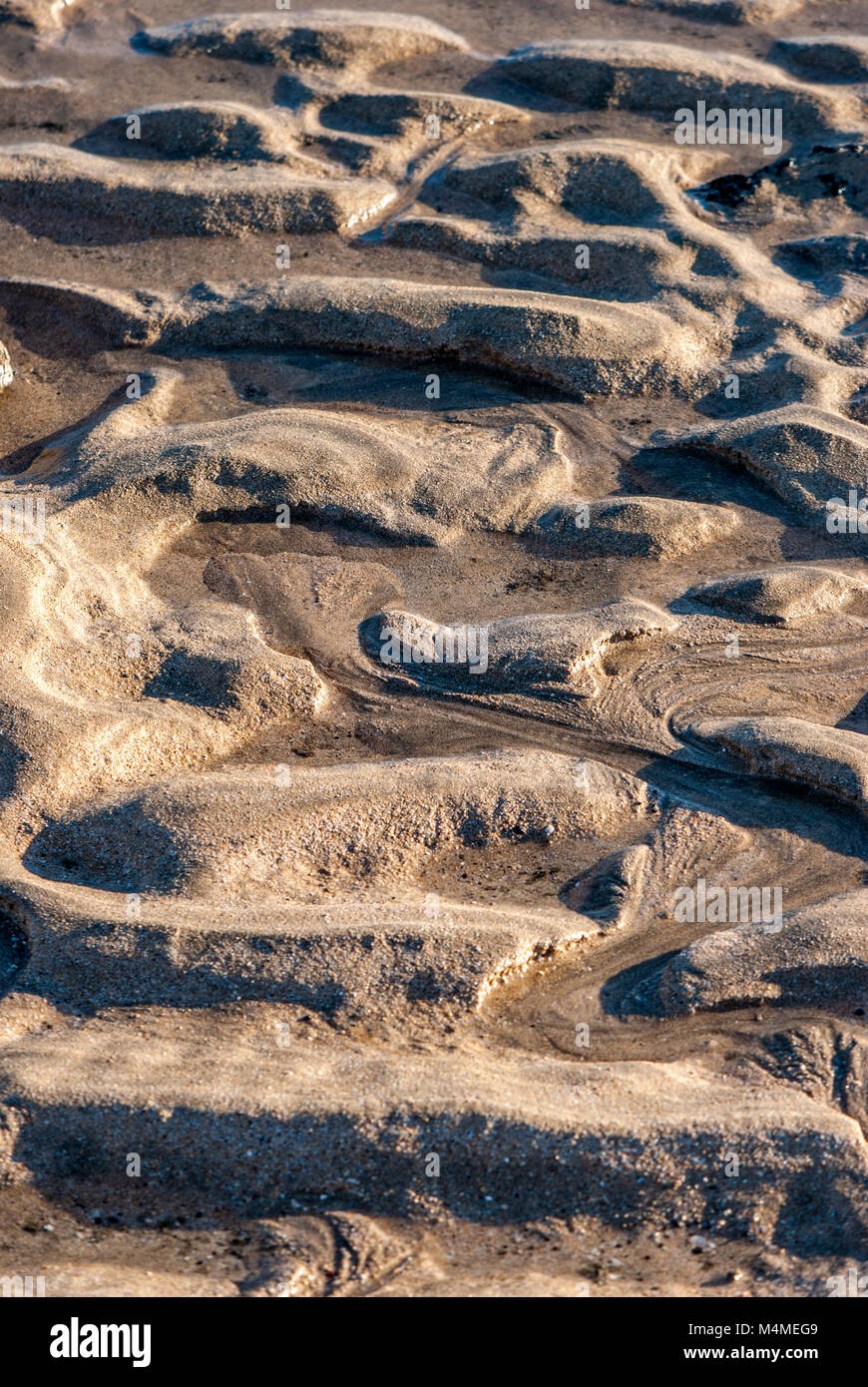 Sabbia bagnata sulla spiaggia, Graciosa Island, Isole Canarie, Spagna Foto Stock