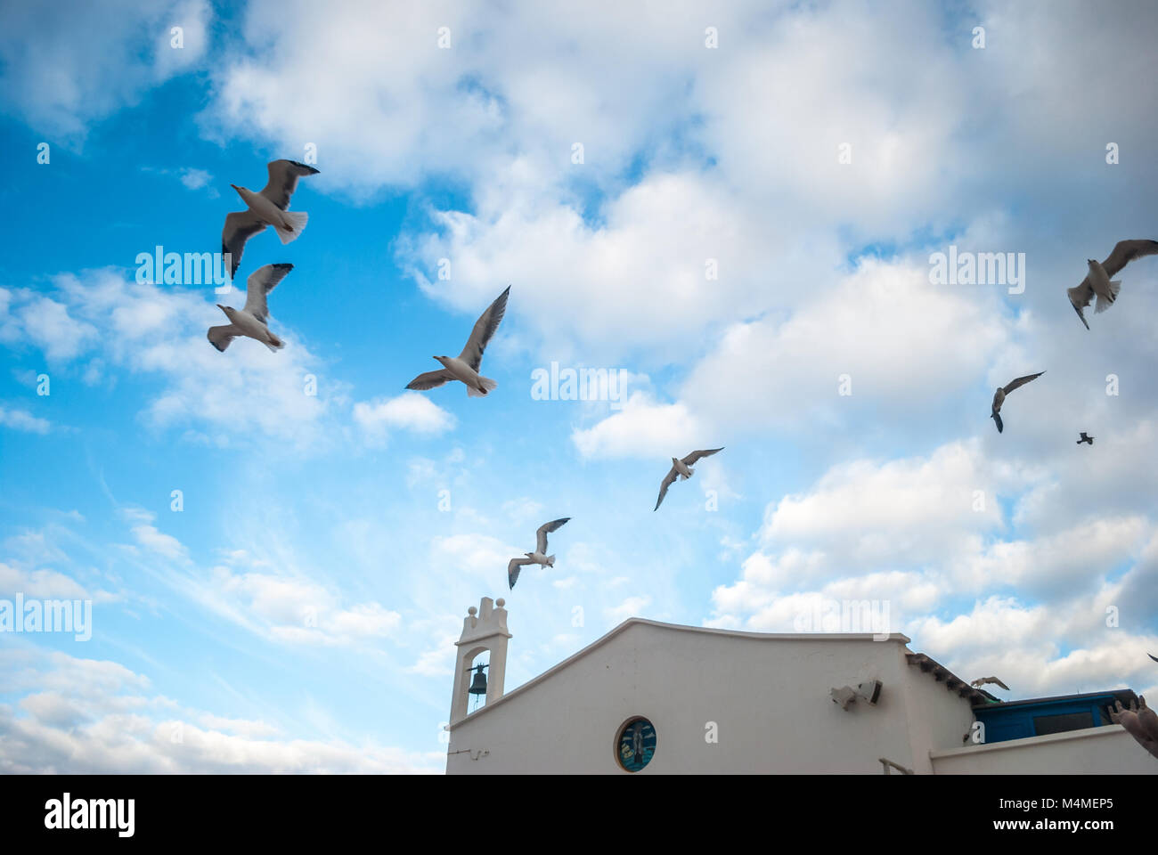 Gabbiani che volano sopra la chiesa, Graciosa Island, Isole Canarie, Spagna Foto Stock