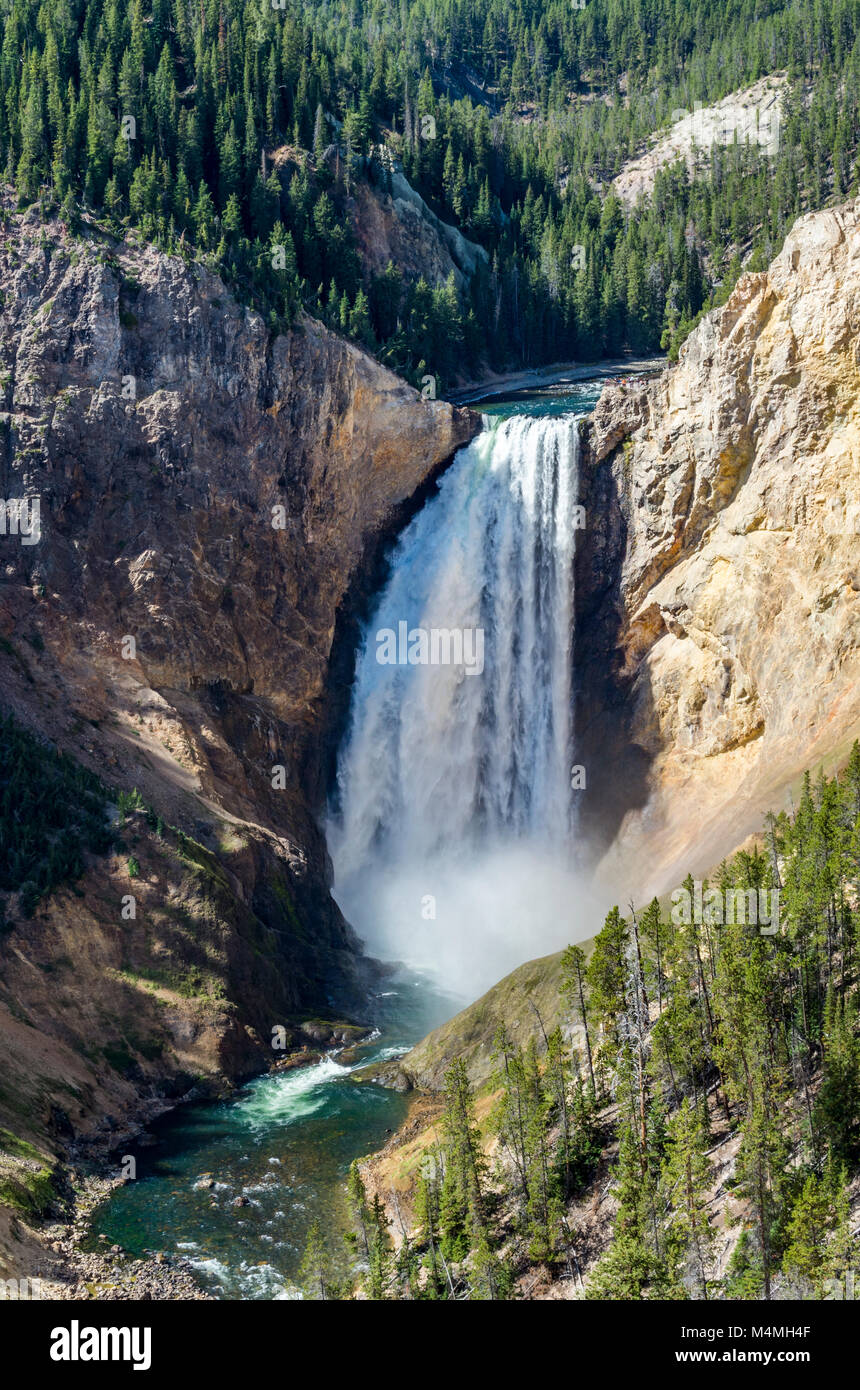 Le cascate Inferiori di Yellowstone River. Parco Nazionale di Yellowstone, Wyoming USA Foto Stock