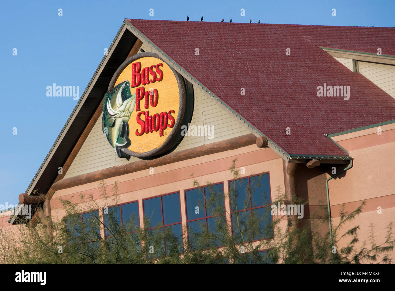 Un segno del logo al di fuori di un Bass Pro Shops store retail in Mesa, Arizona, il 4 febbraio 2018. Foto Stock