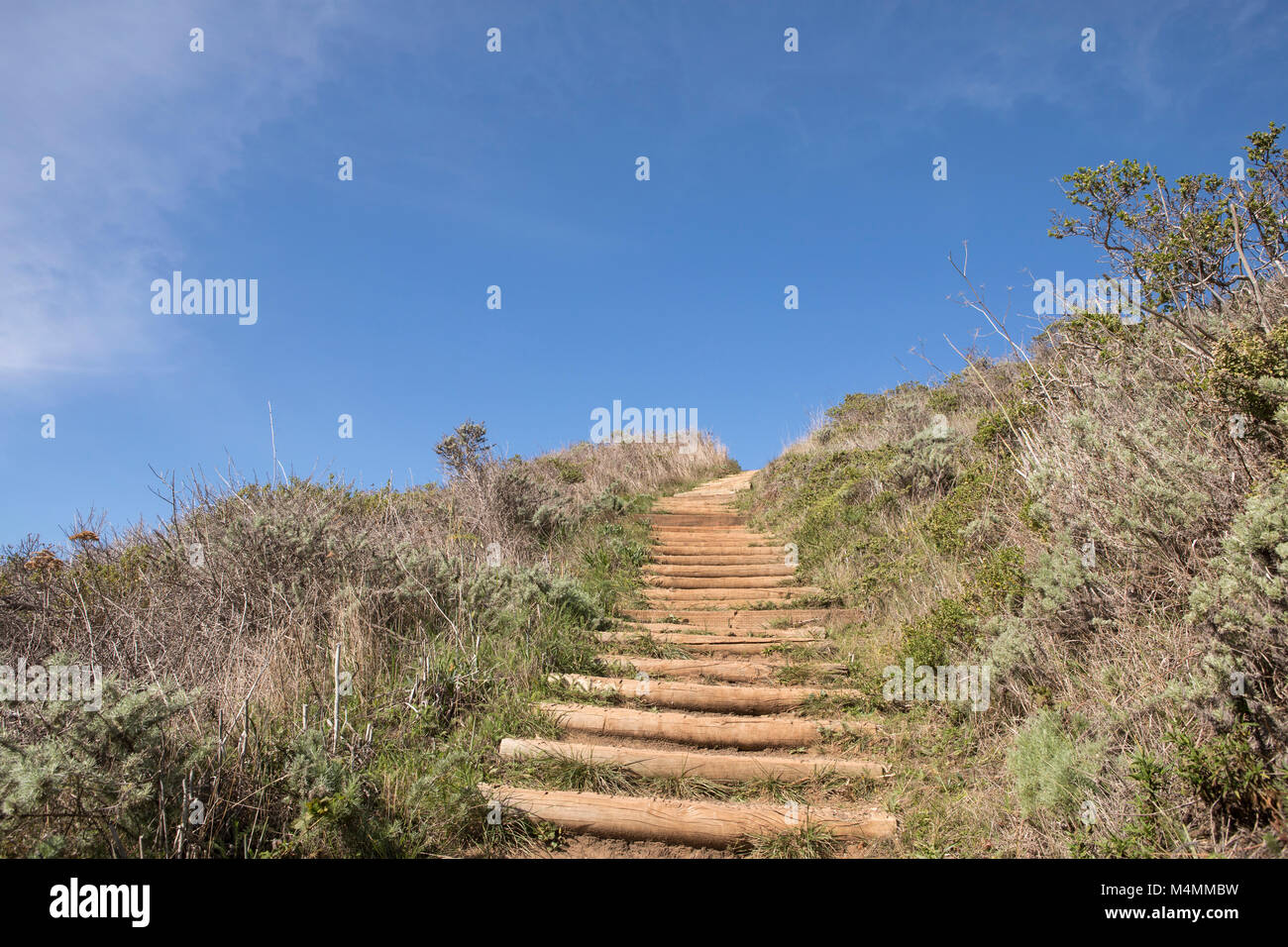 Gradini ripidi in salita che conduce verso un cielo blu. Scrub ruvida confinanti con il percorso. Rappresenta una strada in salita con il blu del cielo davanti. Foto Stock