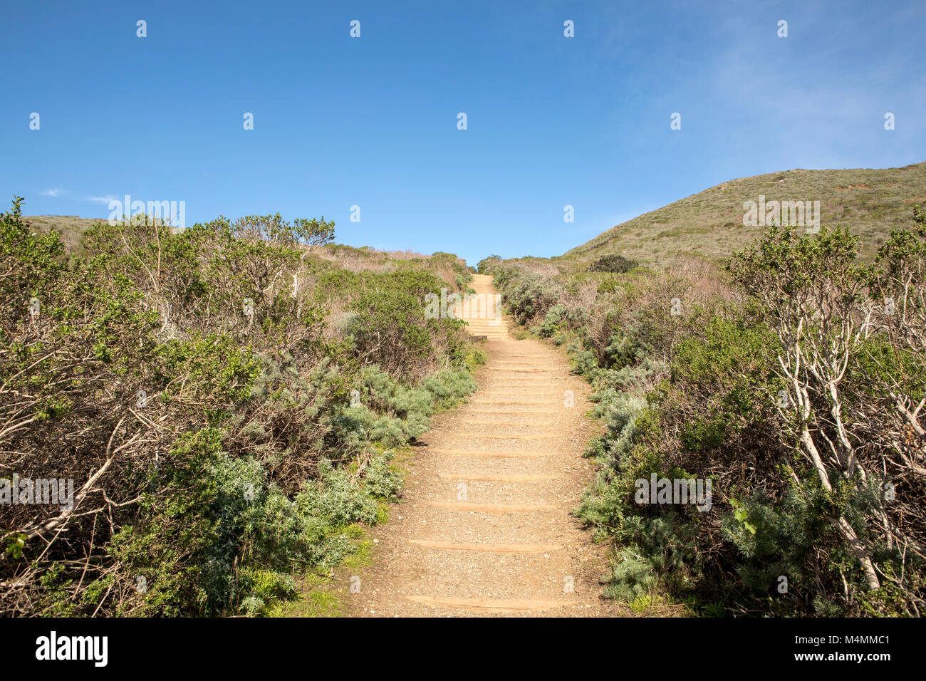 Gradini ripidi in salita che conduce verso un cielo blu. Scrub ruvida confinanti con il percorso. Rappresenta una strada in salita con il blu del cielo davanti. Foto Stock