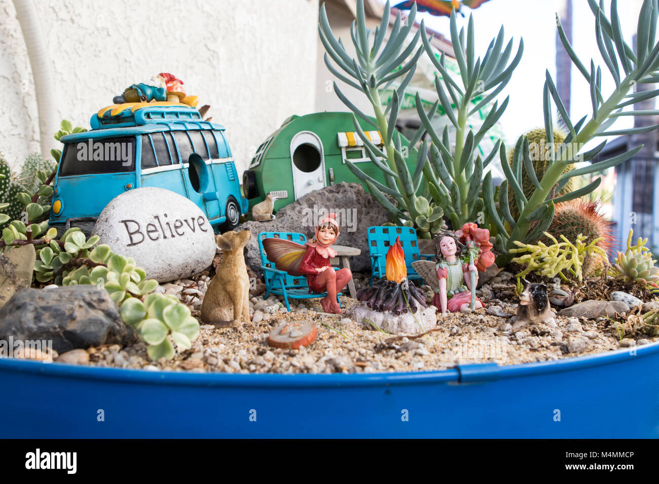 Giardino Cactus. Giardino delle fate in cactus in miniatura in una piantatrice da tavolo con una piccola pietra con la parola credere su di essa Foto Stock