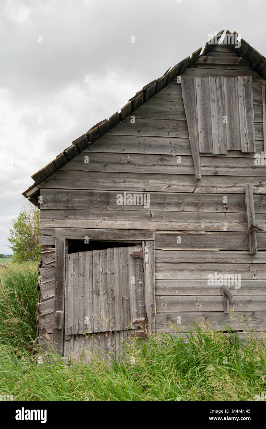 Newell County, Alberta, Canada. Abbandonata in legno edificio fattoria sulle praterie su un nuvoloso giorno d'estate. Foto Stock