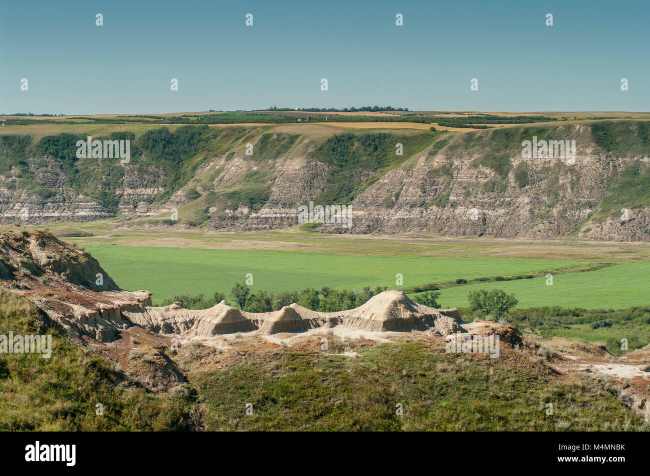 Horsethief Canyon, Alberta, Canada. Vista dal belvedere panoramico verso il basso nella Red Deer River Valley a nord-ovest di Drumheller. Foto Stock
