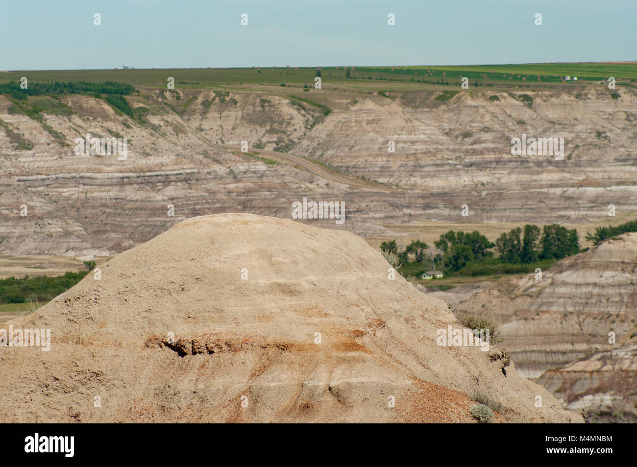 Alberta, Canada. Badlands di Horsethief Canyon, a nord-ovest di Drumheller nella Red Deer River Valley in estate. Foto Stock