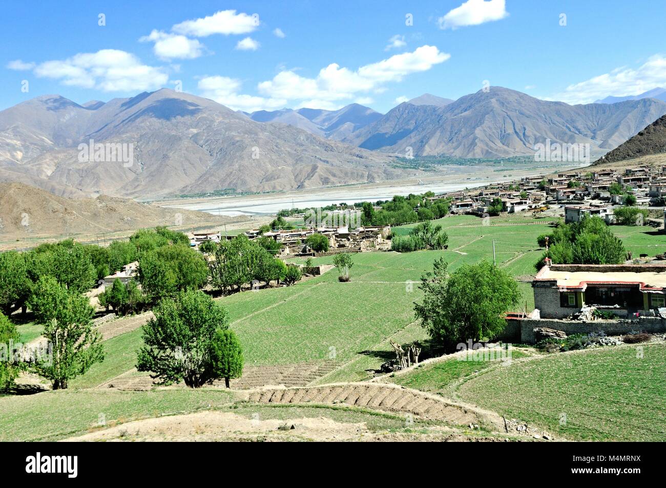 Agricoltura in Yarlung Zangbo River Valley in Tibet la Cina Foto Stock