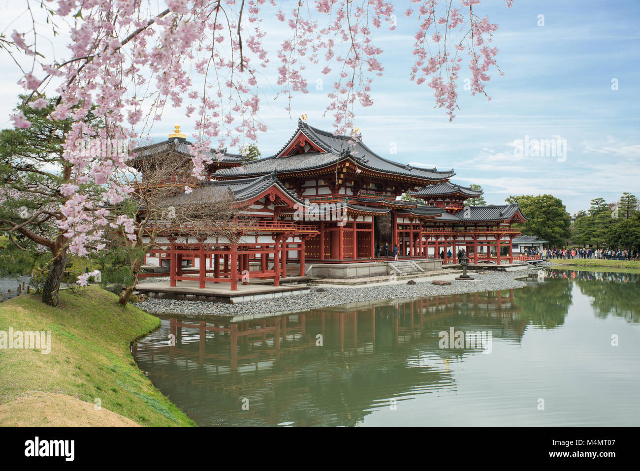 Byodo-in tempio di Uji, Kyoto, Giappone durante la primavera. Fiore di Ciliegio in Kyoto, Giappone. Foto Stock