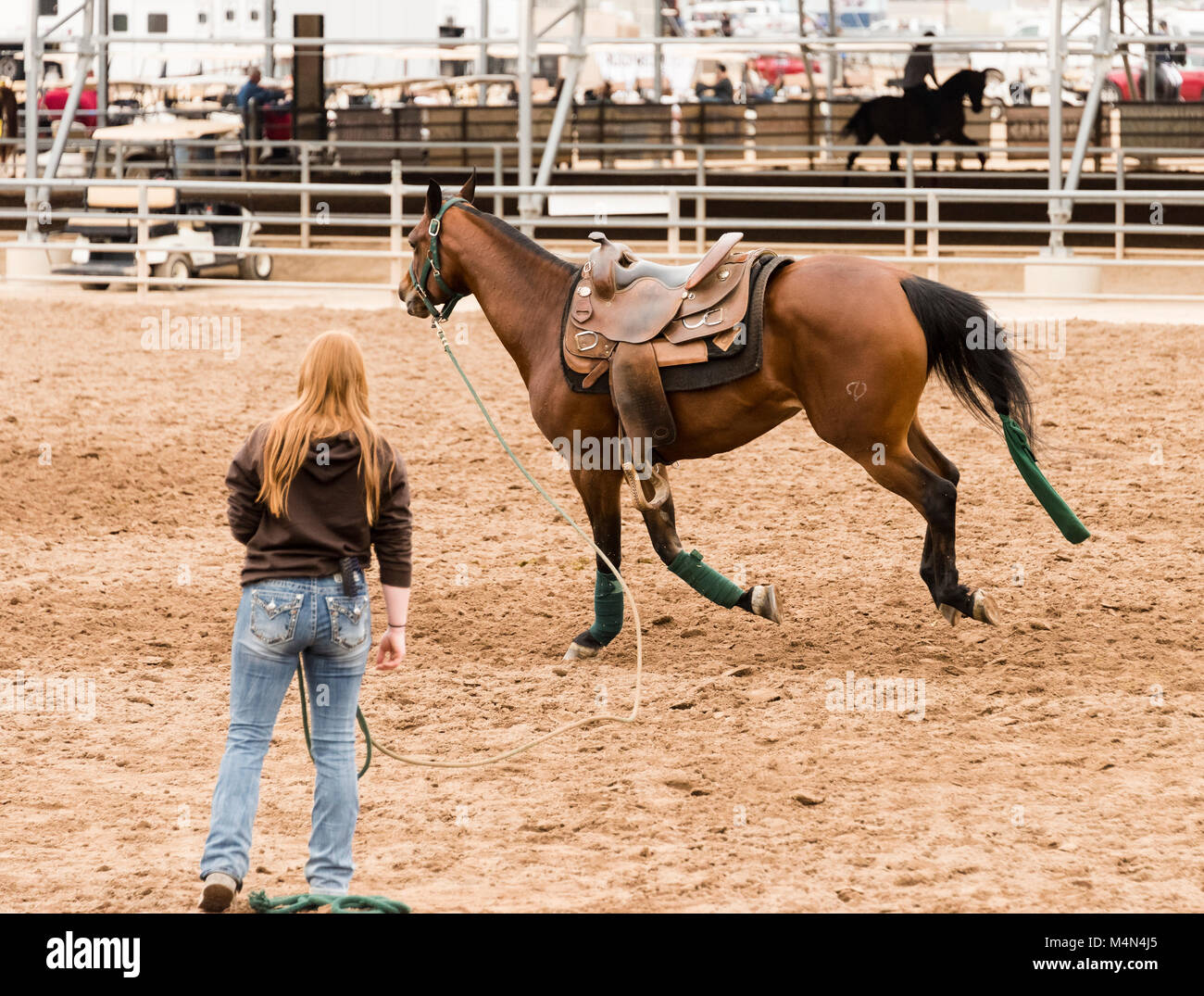 Scottsdale Arabian Horse Show del 2018 tenutasi a Westworld in Scottsdale, Arizona Foto Stock