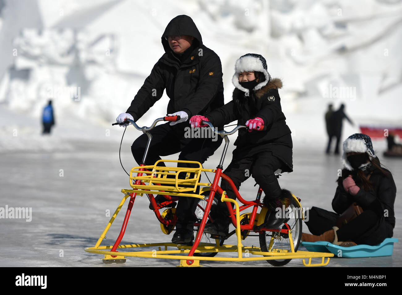 Harbin, la Cina della Provincia di Heilongjiang. Xvii Feb, 2018. Persone cicli di marcia su ghiaccio presso il Sun Island International Snow Sculpture Art Expo park di Harbin, capitale del nord-est della Cina di Provincia di Heilongjiang, Feb 17, 2018. Scenario di neve qui attrae i turisti a godersi il piacere all'aperto durante la settimana di Festival di Primavera di vacanza. Credito: Wang Jianwei/Xinhua/Alamy Live News Foto Stock