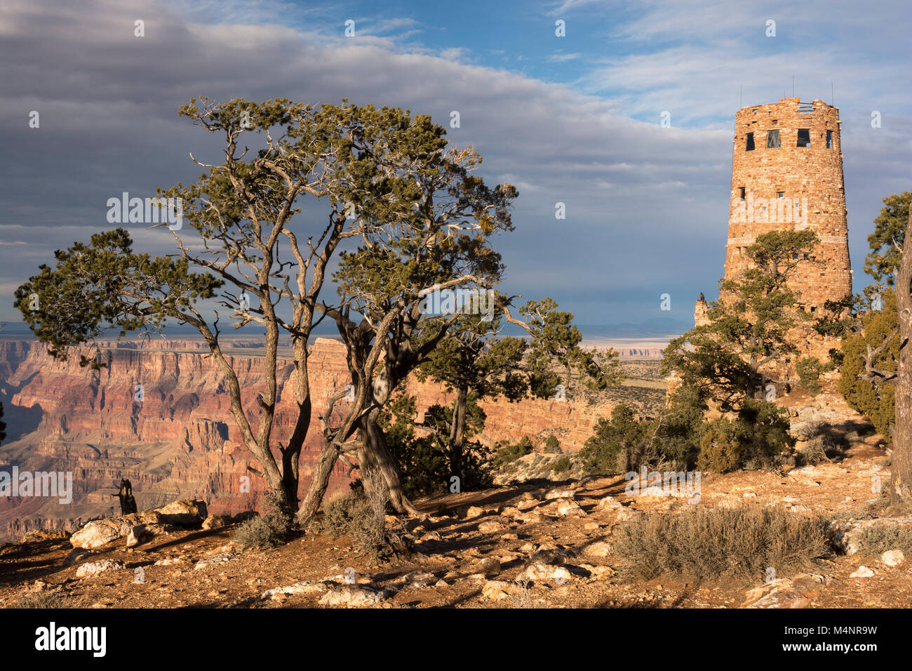 Vista del deserto torre di avvistamento nel tardo pomeriggio dal bordo sud del Parco Nazionale del Grand Canyon. Situato nel nord dell'Arizona. Foto Stock