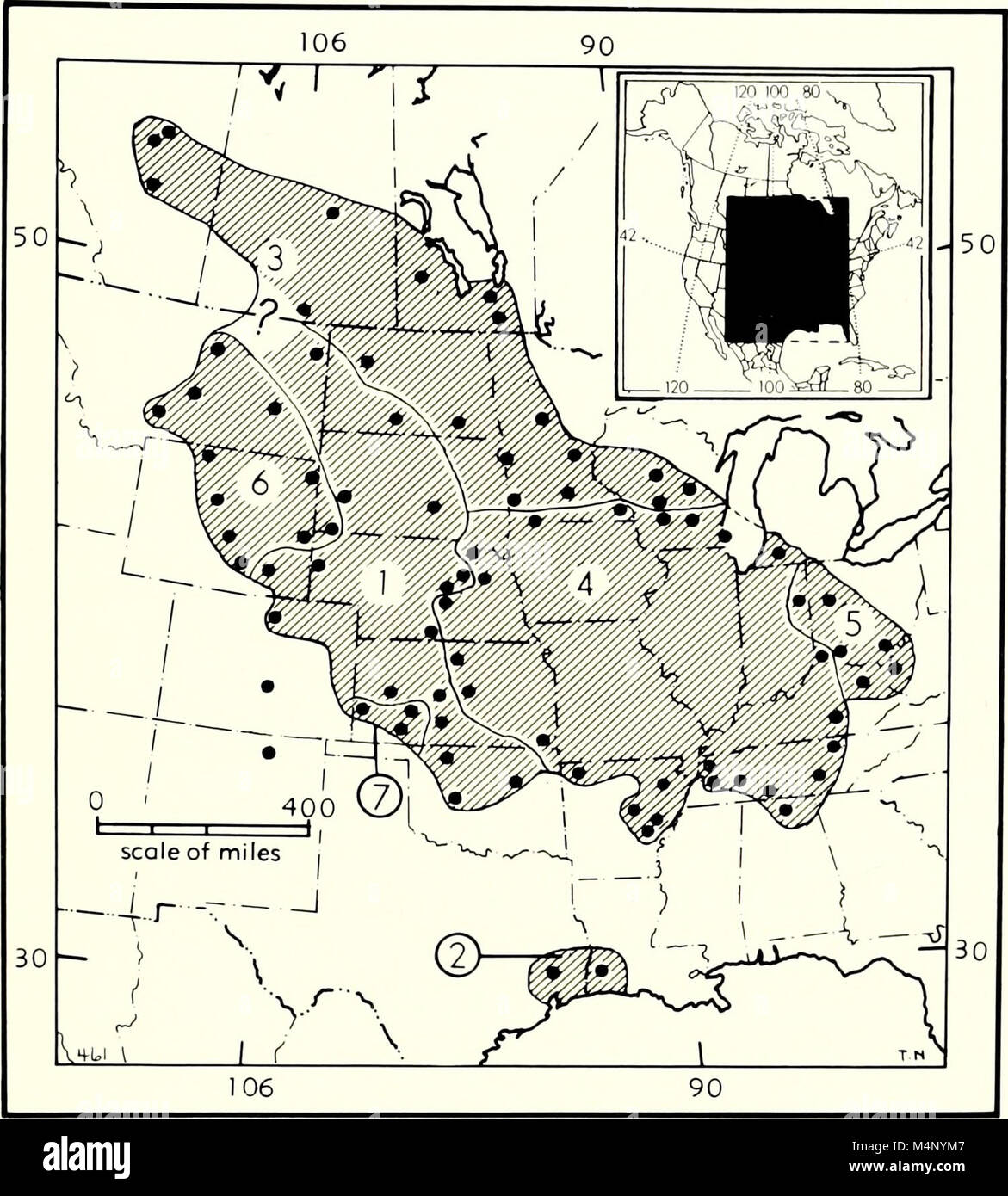 Biologia del Nuovo Mondo Microtus (1985) (20195966839) Foto Stock