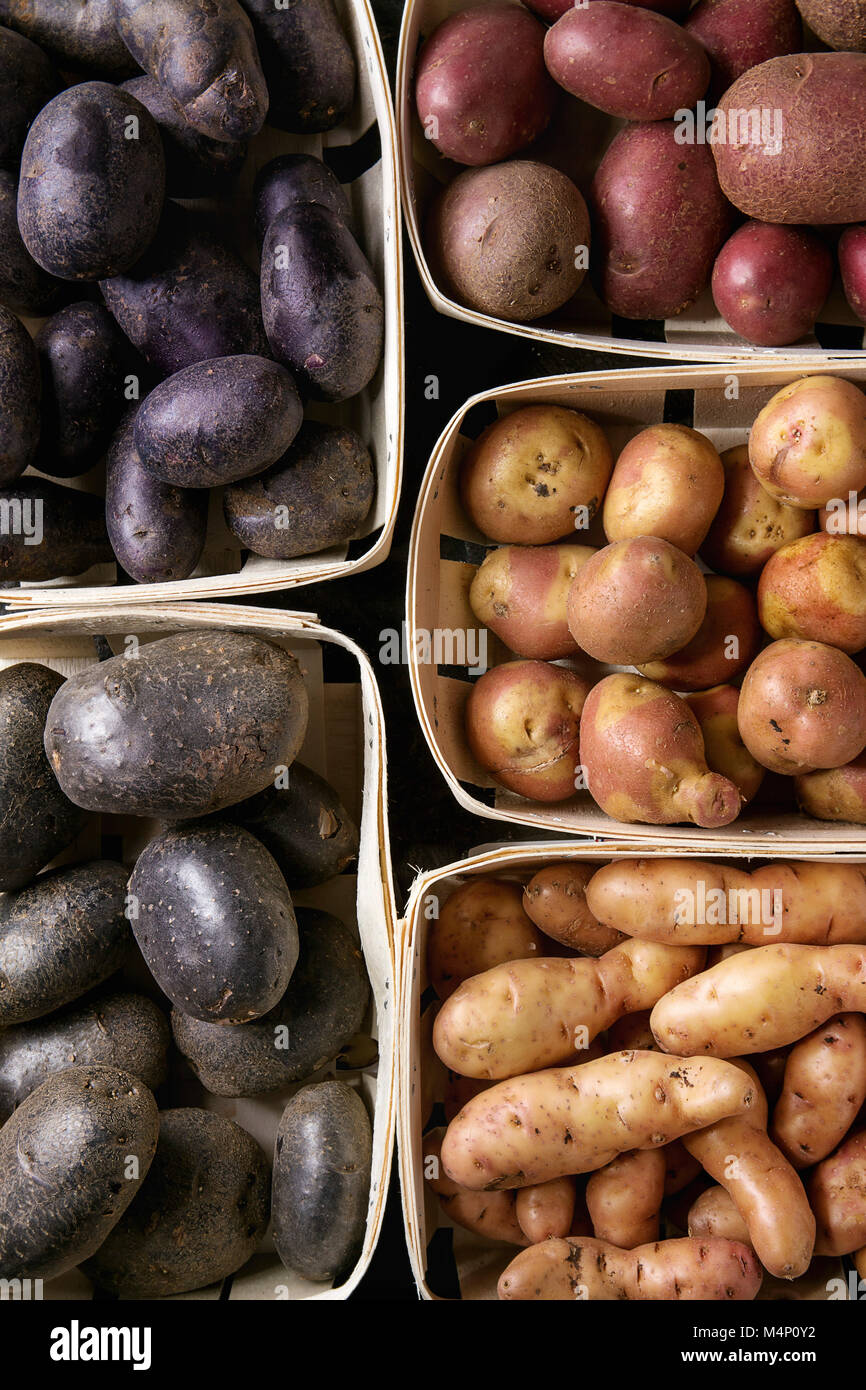 Varietà di materie organiche non cotte patate diversi tipi e colori rosso, giallo, viola in cesti di mercato. Sfondo di cibo. Vista superiore, vicino fino Foto Stock