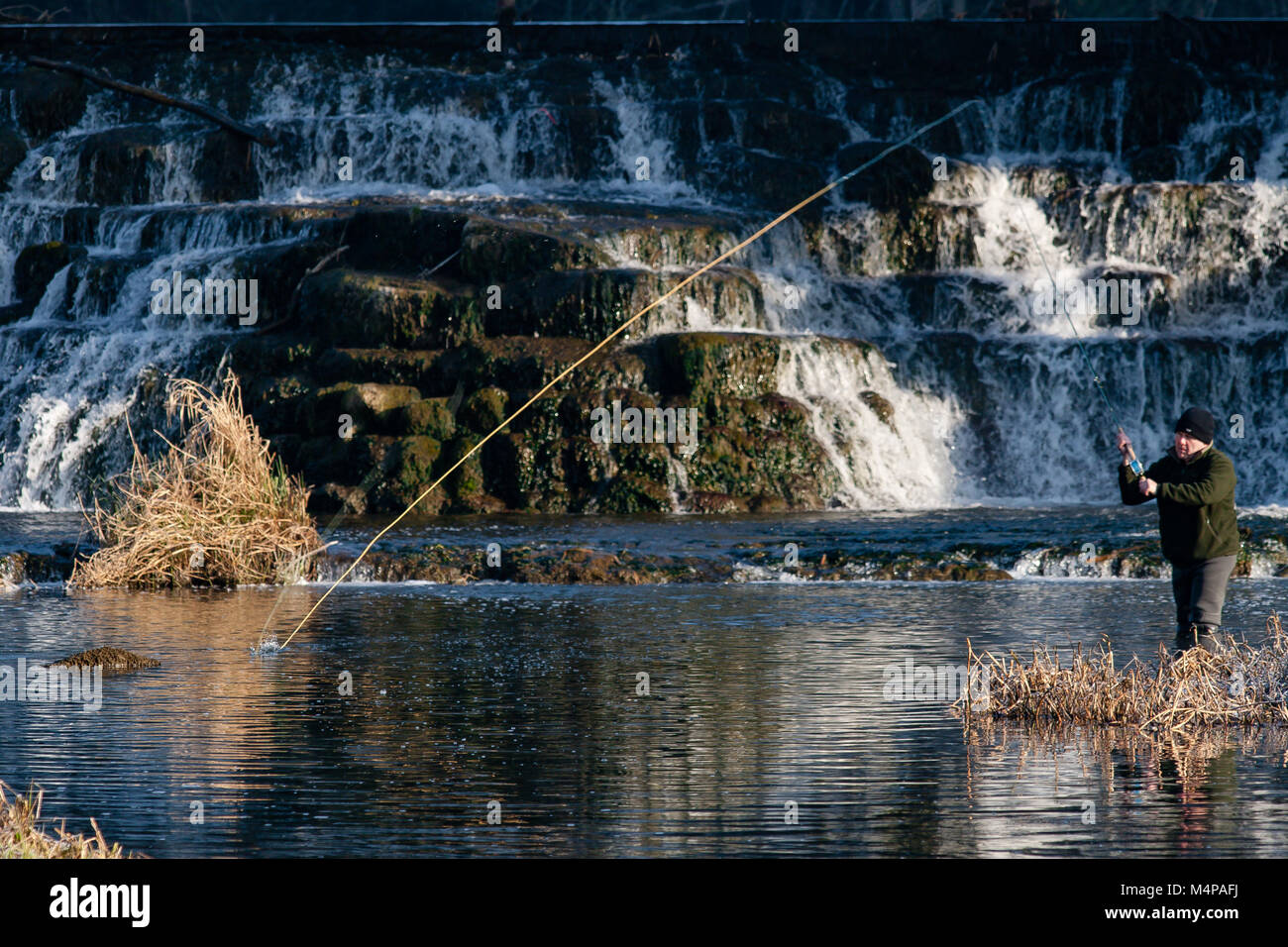 L'uomo pescatore di Pesca a Mosca Report di Pesca al salmone Leap Weir sul fiume segala nella casa di cartone di Maynooth, nella contea di Kildare, Irlanda Foto Stock