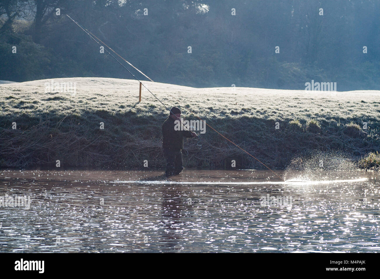 L'uomo pescatore di Pesca a Mosca Report di Pesca al salmone Leap Weir sul fiume segala nella casa di cartone di Maynooth, nella contea di Kildare, Irlanda Foto Stock