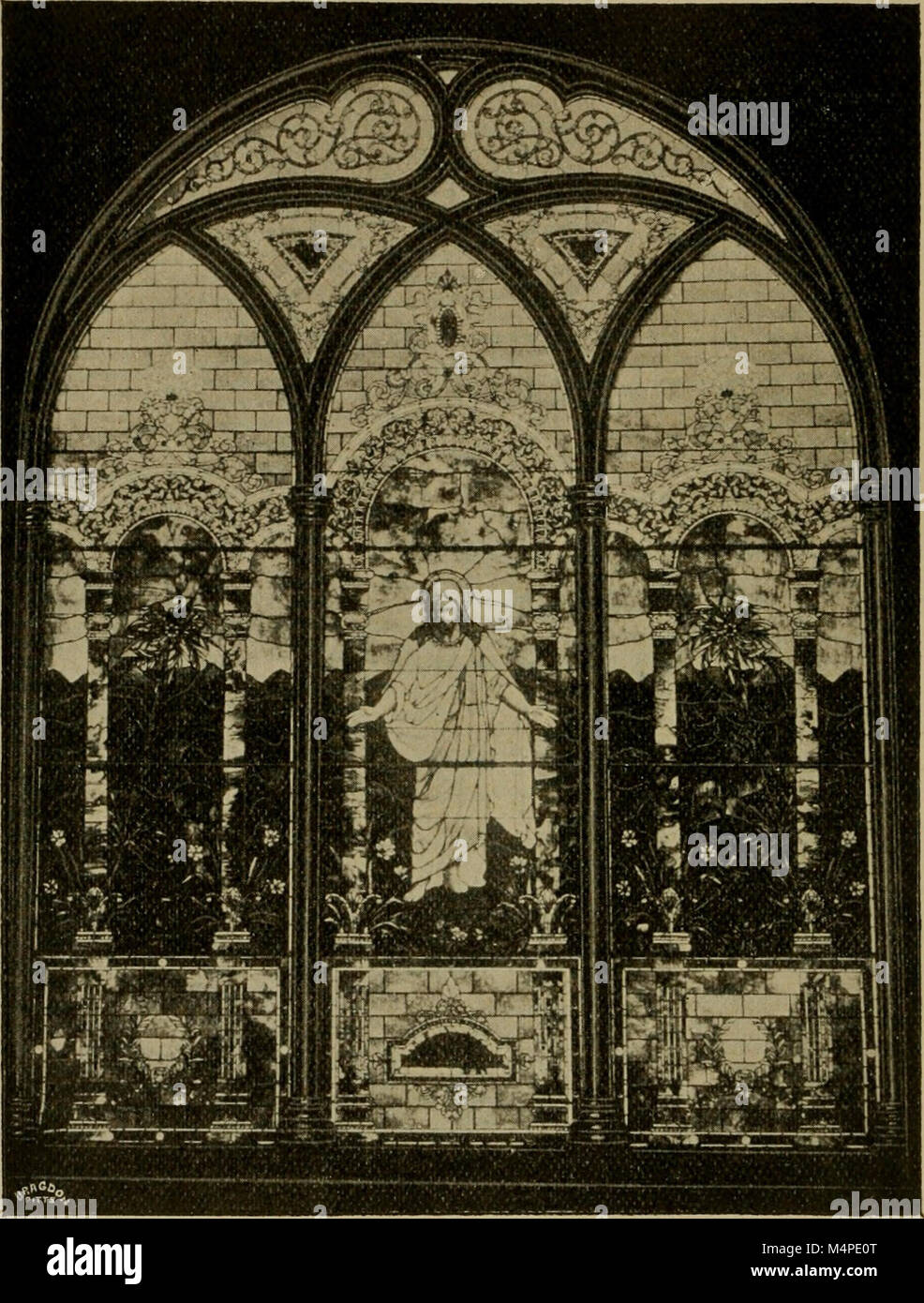 *Guida Botanica* (1894) offre un tour dei Phipps Conservatories, mostrando le diverse specie di piante che si trovano a Pittsburgh e Allegheny. Mette in evidenza le collezioni botaniche, gli sforzi di conservazione e i programmi educativi dei conservatori. Foto Stock