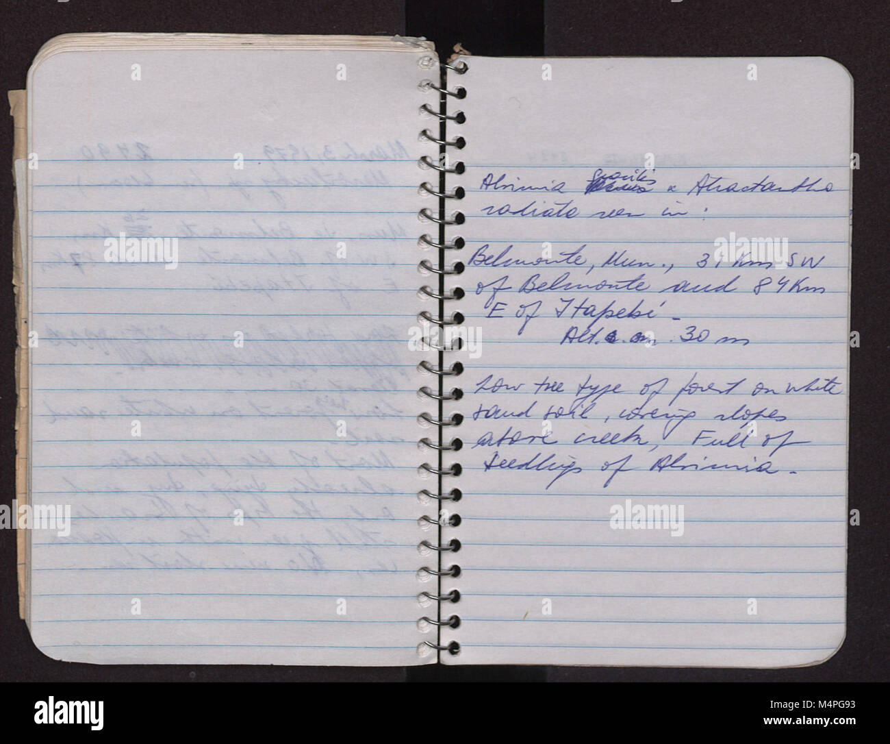 L'edizione 1979 di "Brasil 1979, 0" cattura eventi chiave e momenti culturali dal Brasile durante quell'anno, riflettendo l'atmosfera sociopolitica del paese. Foto Stock