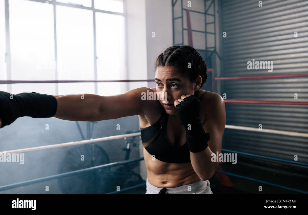 Close up di una femmina di boxer di formazione all'interno di un anello di inscatolamento. Boxer di mettere in pratica le sue mosse presso un studio di inscatolamento. Foto Stock