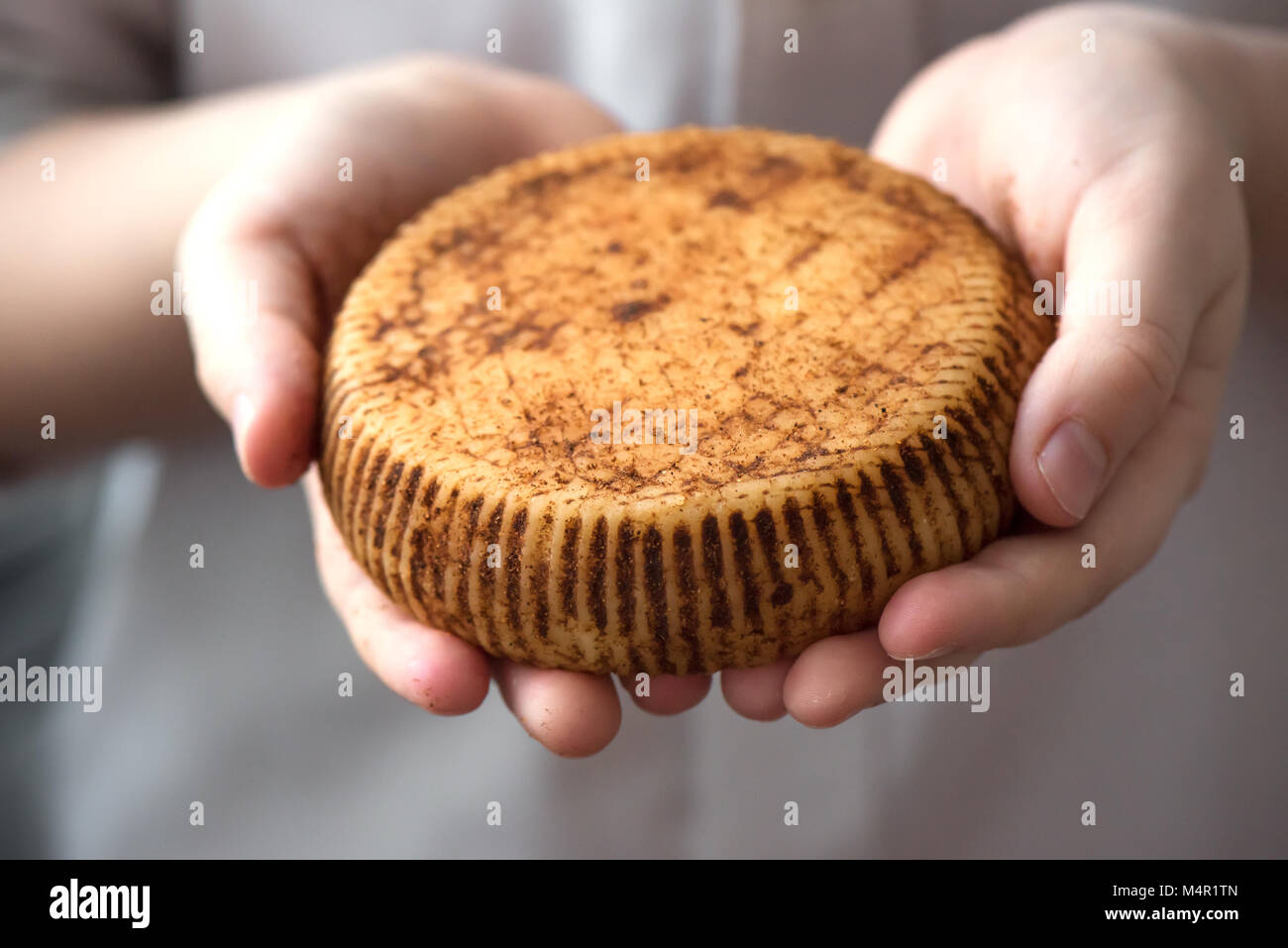 Rustico formaggio gourmet nelle mani del casaro, vicino. Condimento piccante fatto a mano il formaggio. Foto Stock