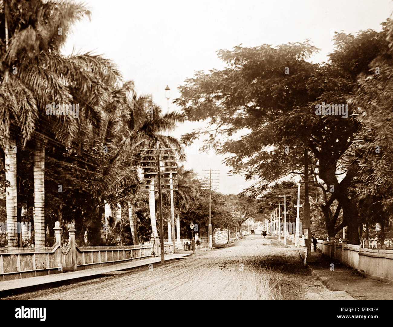 Nuuanu Avenue, Honolulu, Hawaii, pre 1900 Foto Stock