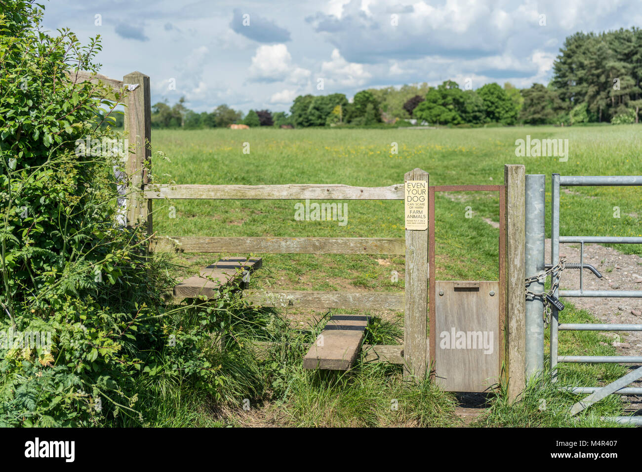 Tipico paese inglese stile con il cane gate, Gloucestershire, Regno Unito Foto Stock