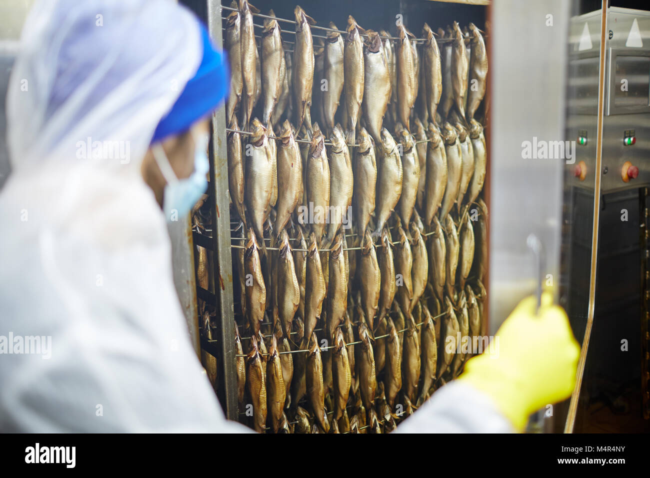 Appena il pesce affumicato Foto Stock