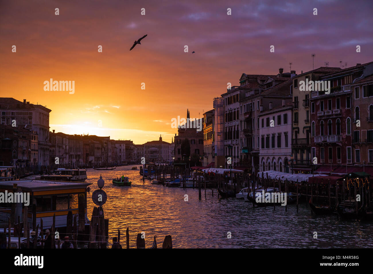 Classic vista panoramica del famoso Canal Grande dal famoso Ponte di Rialto nel bellissimo golden luce della sera al tramonto in estate, Venezia, Italia Foto Stock