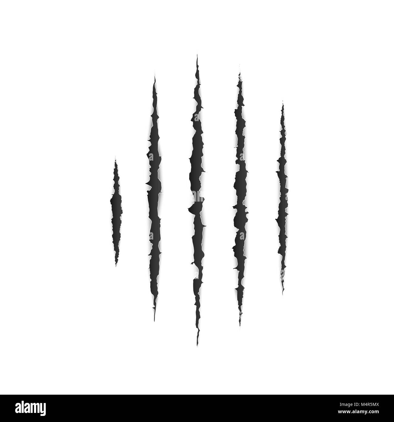 Scary leceration la superficie della carta. Animale selvaggio artigli graffiare la texture. Strappato il bordo della carta. Danneggiare da ganasce portano o tiger. Isolato illustrazione vettoriale Illustrazione Vettoriale