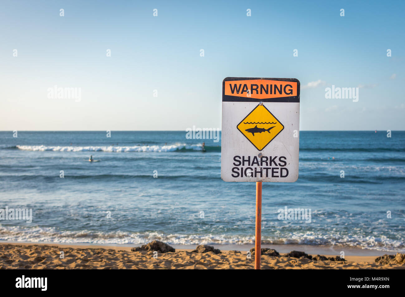 Un segnale di avvertimento per indicare gli squali sono stati avvistati in acqua in Ali'i spiaggia di Haleiwa, sulla North Shore di Oahu, Hawaii. Foto Stock