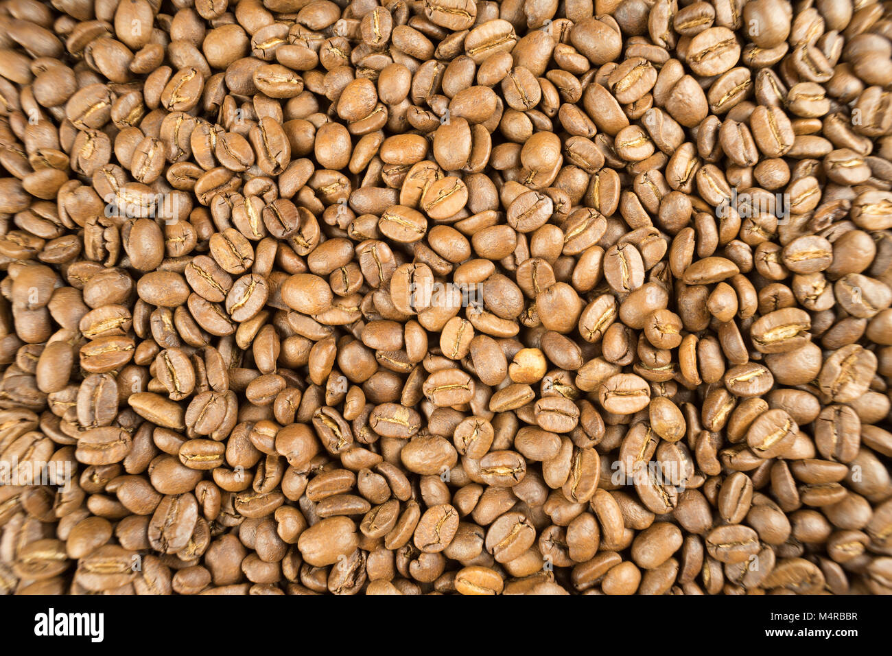 Leggermente marrone arrosto i chicchi di caffè. Uso potenziale come sfondo. Foto Stock