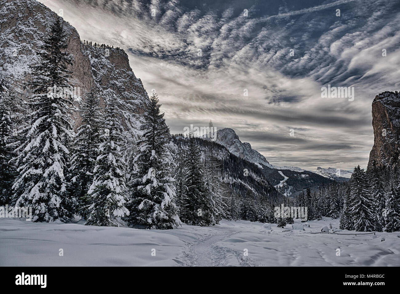 Boschi innevati in Val Gardena con montagne, Cielo e nubi all'orizzonte - Dolomiti, Italia Foto Stock