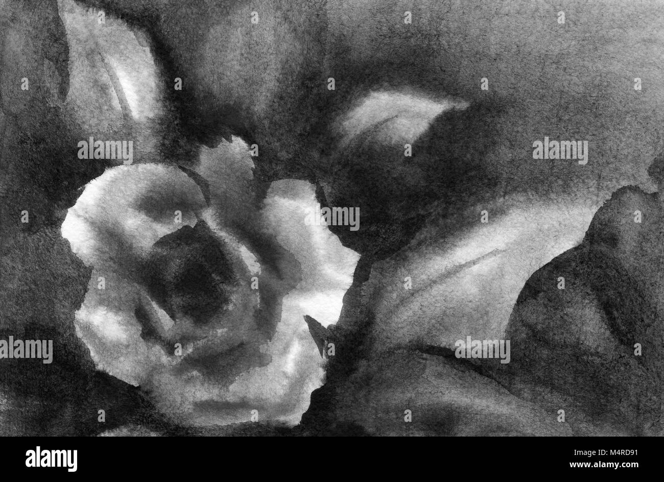 Acquerelli di sfondo con rosebud Foto Stock