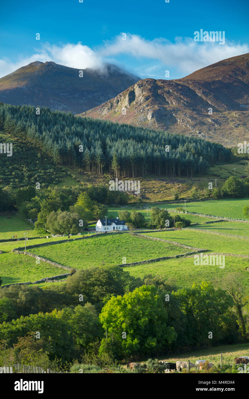 La foresta e i terreni agricoli al di sotto della Mourne Mountains, County Down, Irlanda del Nord. Foto Stock