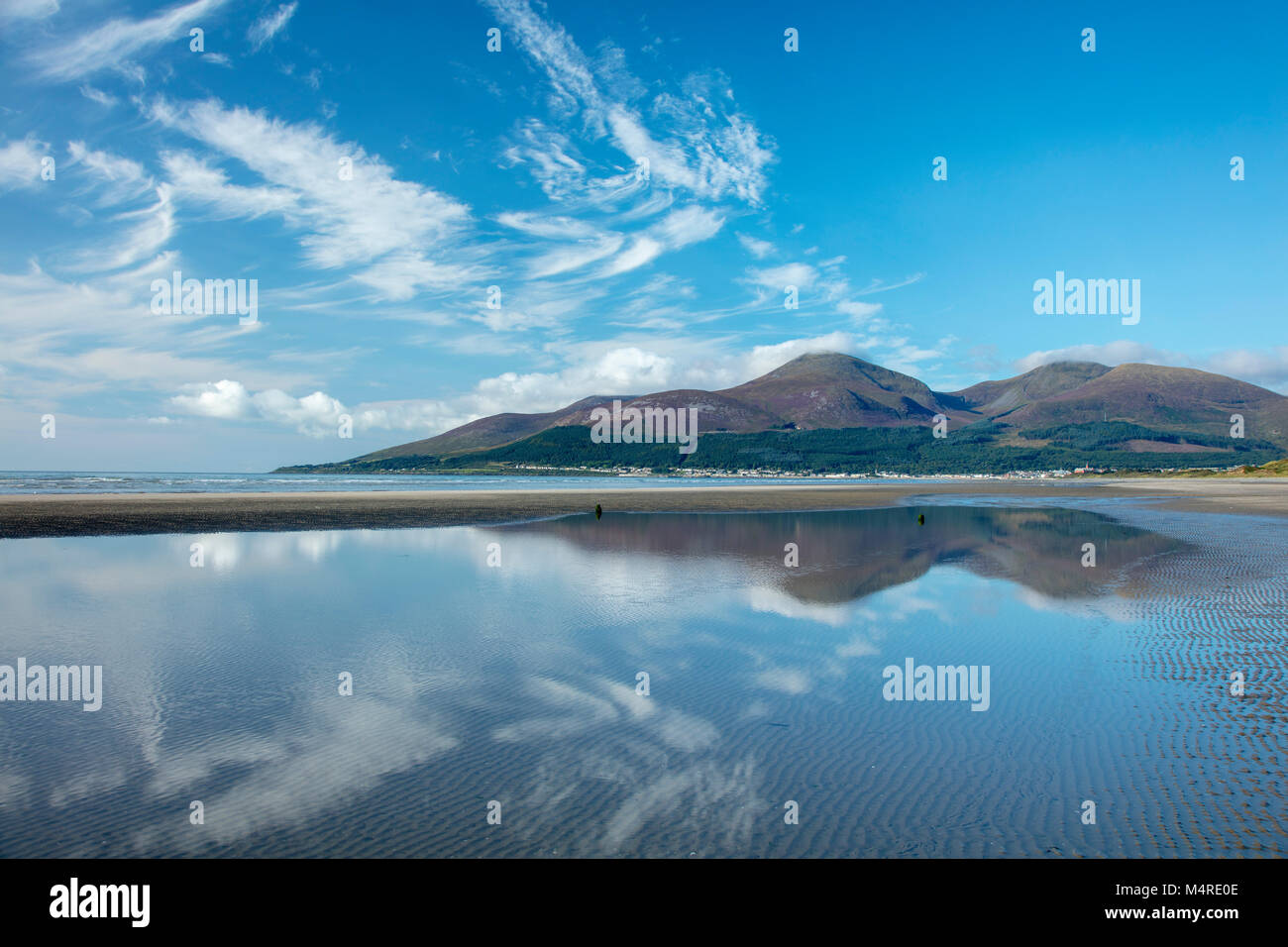 Mourne Mountains riflessa in Murlough Beach, Murlough Riserva Naturale, County Down, Irlanda del Nord. Foto Stock