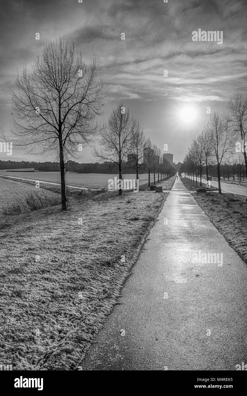 Arte Scenica monocromatica glorioso autunno / inverno sunrise su un vicolo e strada con Cielo e nubi e un percorso di ciclo con un biker Foto Stock