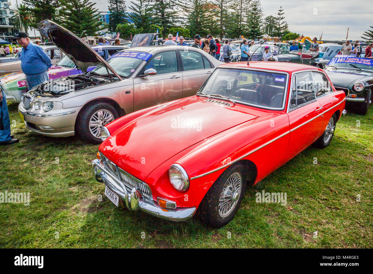 Australia, Nuovo Galles del Sud, Central Coast, 1965 MG MGB GT auto sportiva, esposti durante la costa centrale Historic Car Club Giornata del Patrimonio Foto Stock
