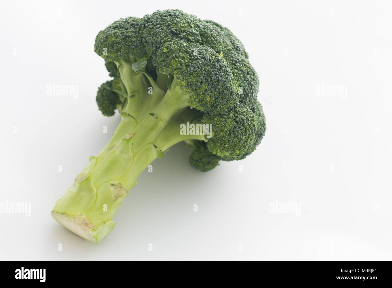 Broccoli sullo sfondo bianco. Foto Stock