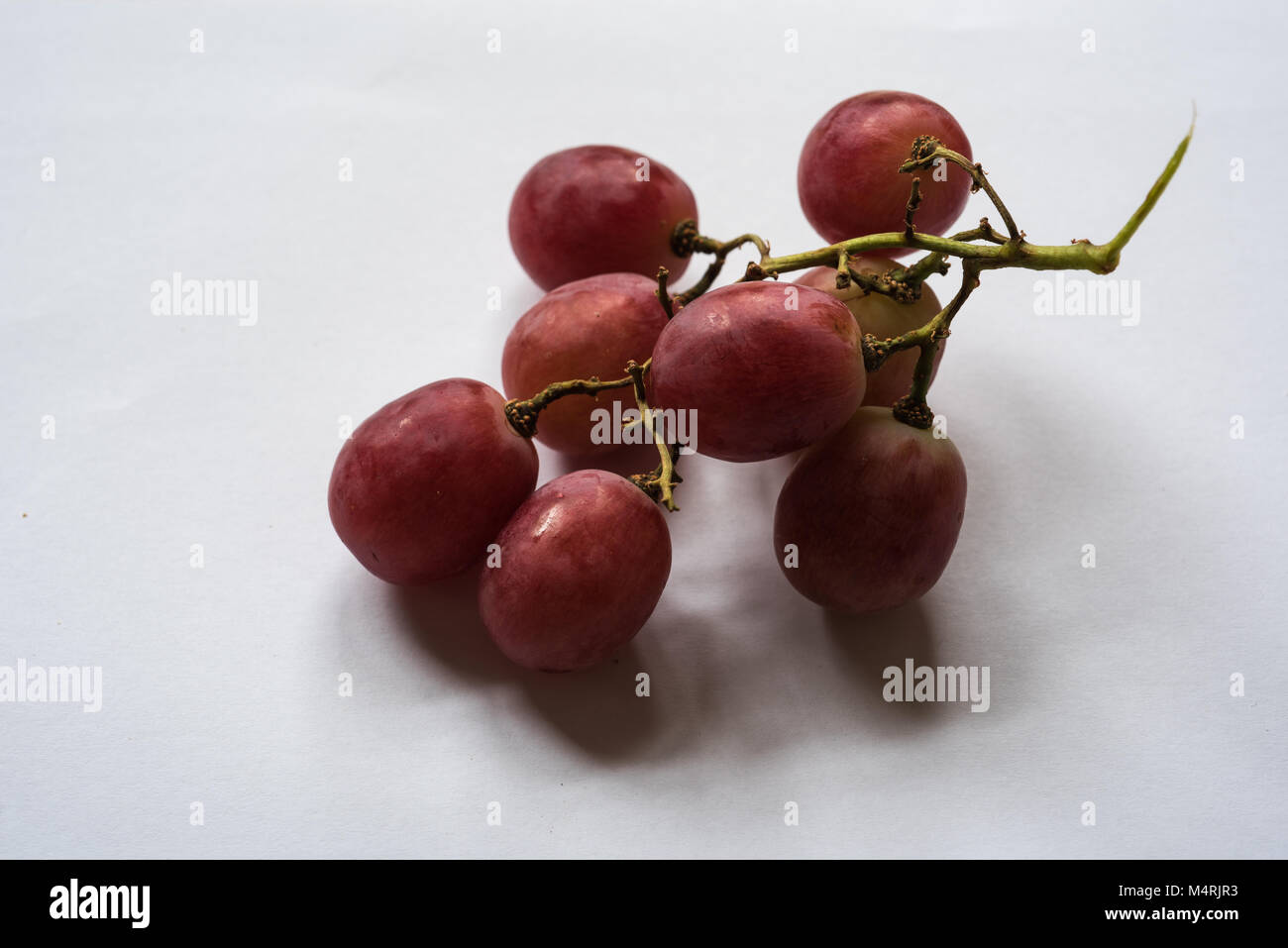 Mosti di uve Foto Stock