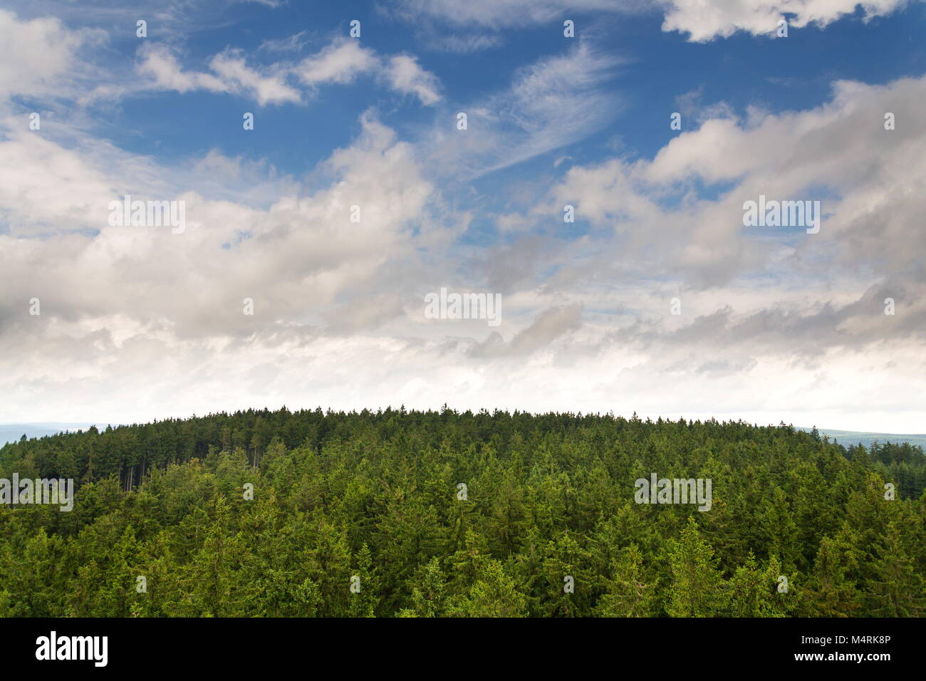 Bella estate forest view da Pajndl Lookout Tower, Krusne Hory Foto Stock