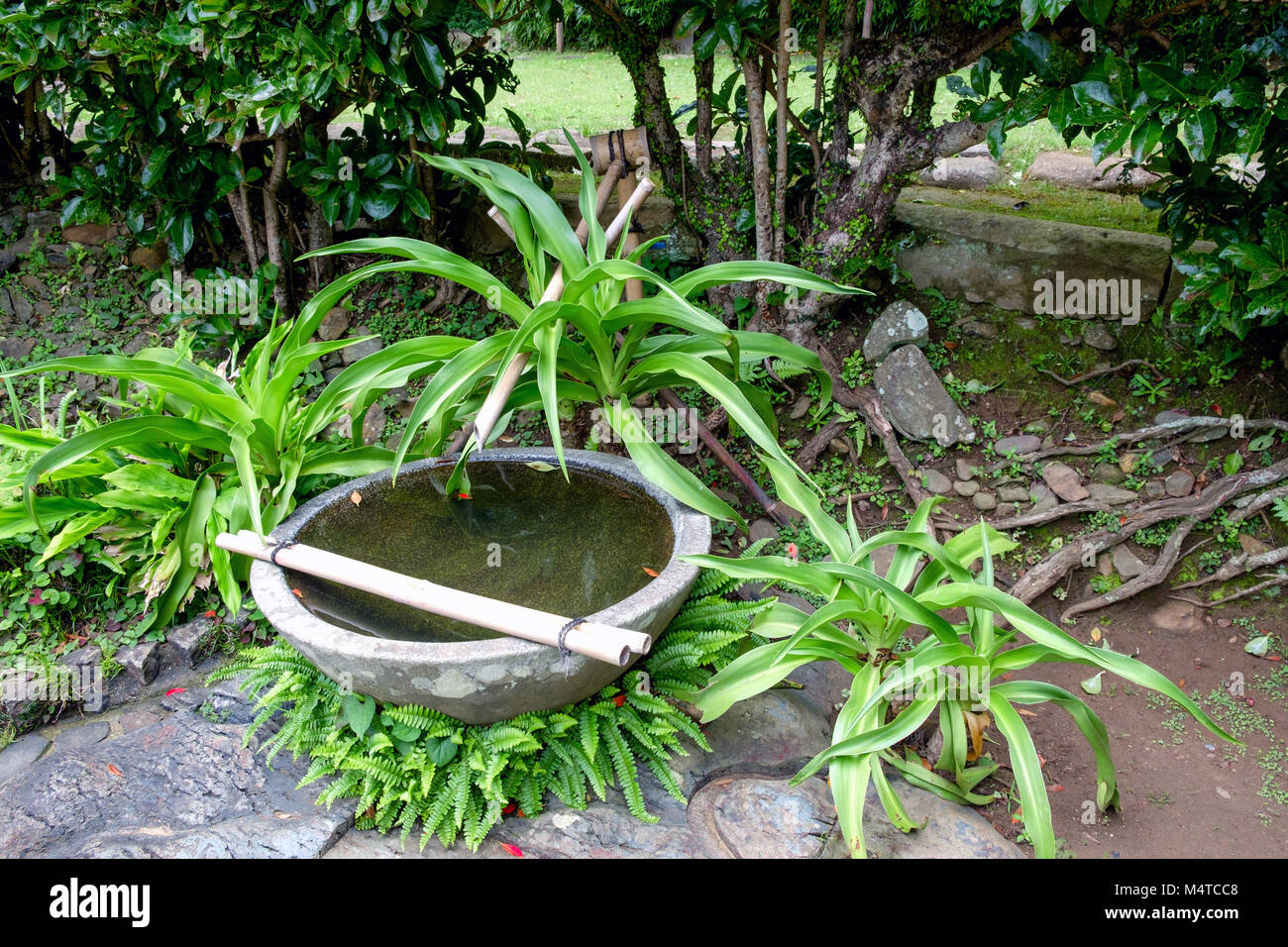 Chiusura del vecchio round lavabo in pietra con acqua in erba nel giardino. Due tubi di bambù legati insieme con spago, appoggiato sul bacino. Foto Stock