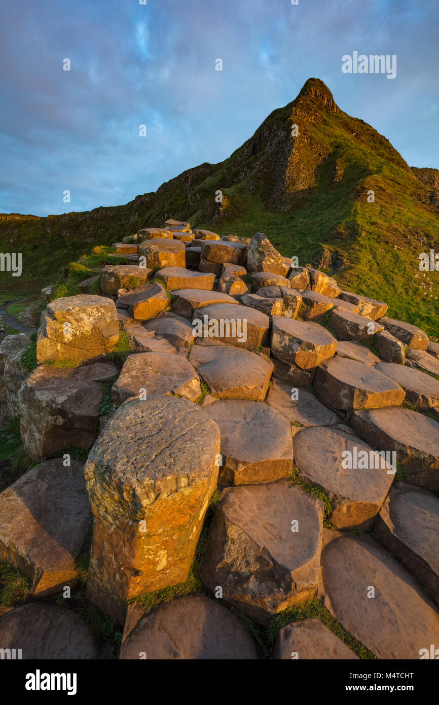 Il esagonale a colonne di basalto del Giant's Causeway, paese di Antrim, Irlanda del Nord. Foto Stock