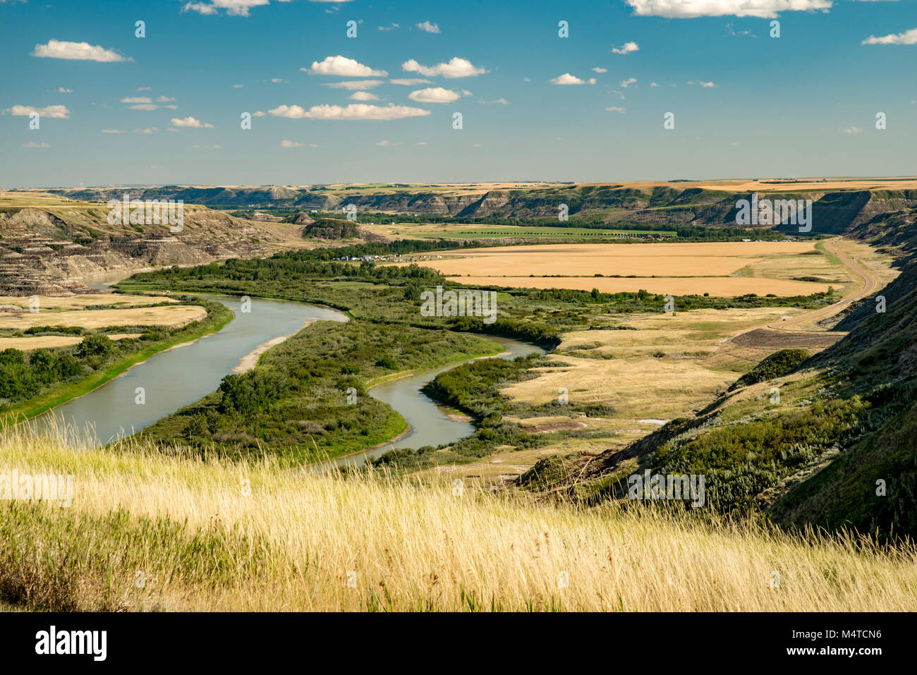 Kneehill County, Alberta, Canada. Guardando a sud-est in Red Deer River Valley e Badlands verso Drumheller in estate. Foto Stock
