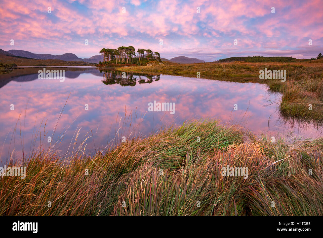 I riflessi del tramonto in Derryclare Lough, Connemara, nella contea di Galway, Irlanda. Foto Stock