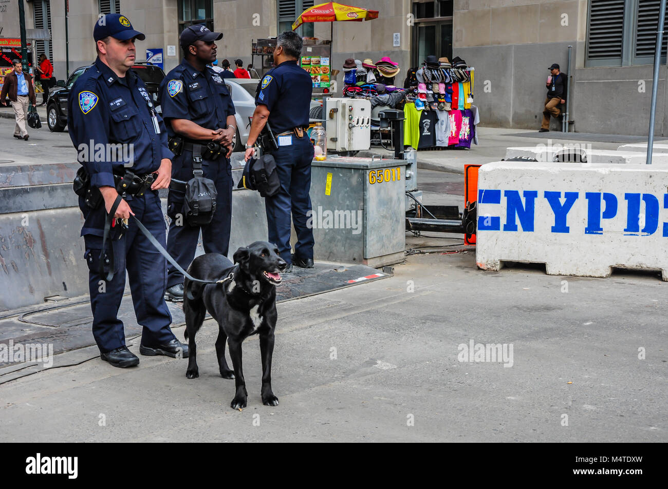 Polizia di New York Unità canina Foto Stock