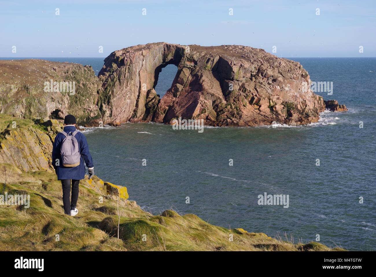 Walker lungo la scogliera sentiero costiero da Cruden Bay presso l'arco di Dunby. Aberdeenshire, Scotland, Regno Unito. Su un soleggiato inverni giorno. Febbraio, 2018. Foto Stock