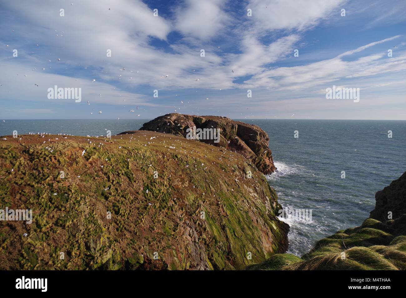 Robusto di Granito Rosa Seacliffs e selvaggio del Mare del nord del litorale di Buchan. Cruden Bay, Aberdeenshire, a nord est della Scozia, Regno Unito. Foto Stock