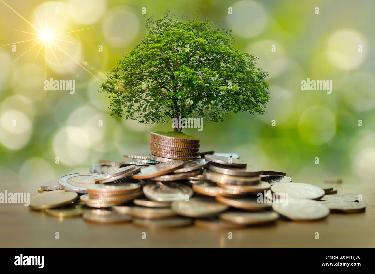 La crescita di denaro per un risparmio di denaro. Albero superiore monete al concetto illustrato ai cambiamenti di un business in espansione Foto Stock