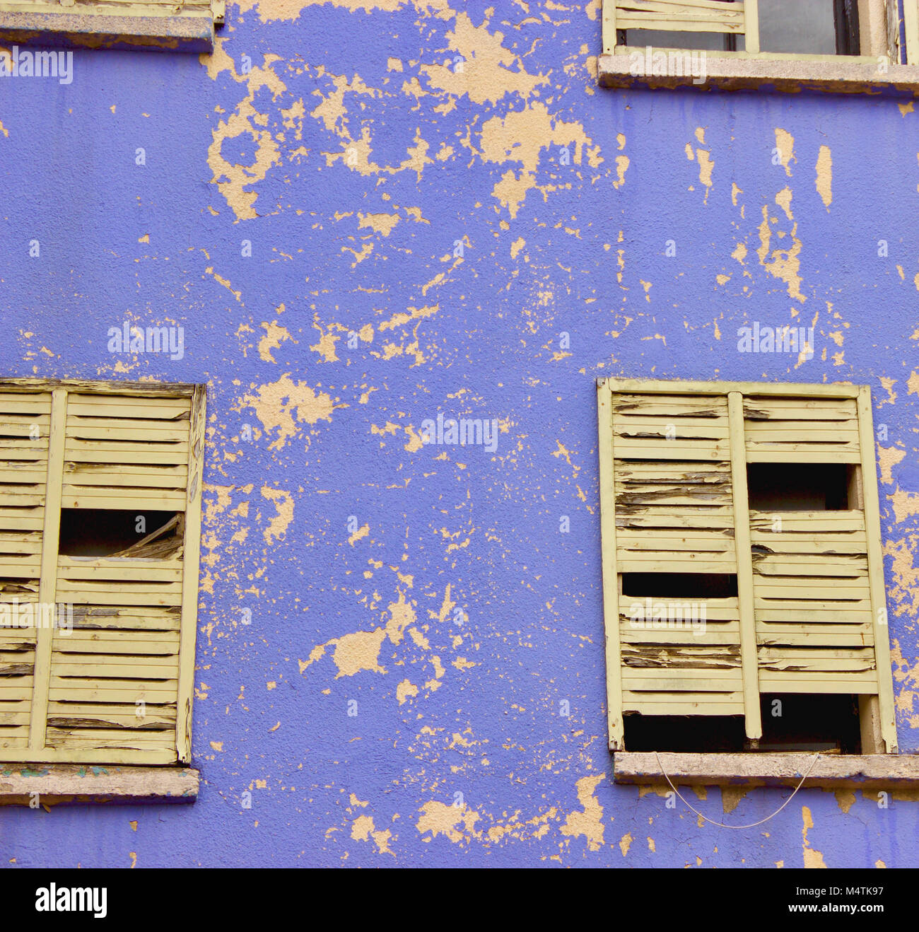 Porpora e giallo Foto Stock