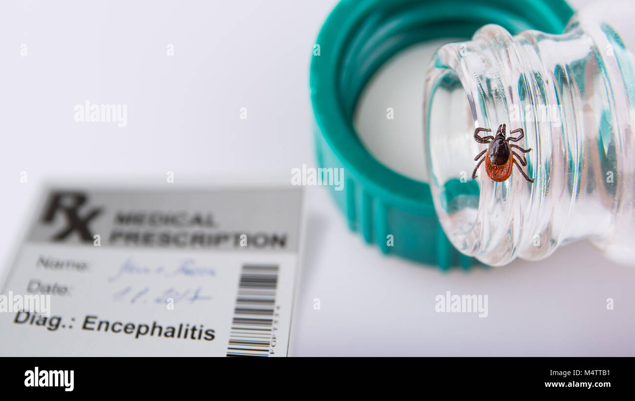 Castor bean tick, tubo di laboratorio e di prescrizione. Ixodes ricinus. Pericoloso vettore di encefalite infettiva sul dettaglio del flaconcino nell'ufficio del medico. Foto Stock