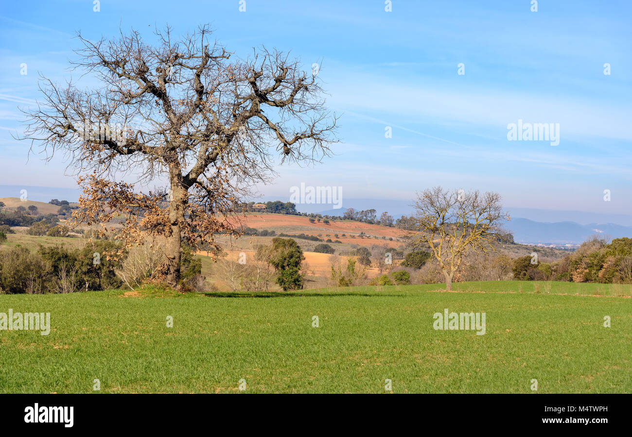 Il paesaggio toscano in inverno, Italia Foto Stock